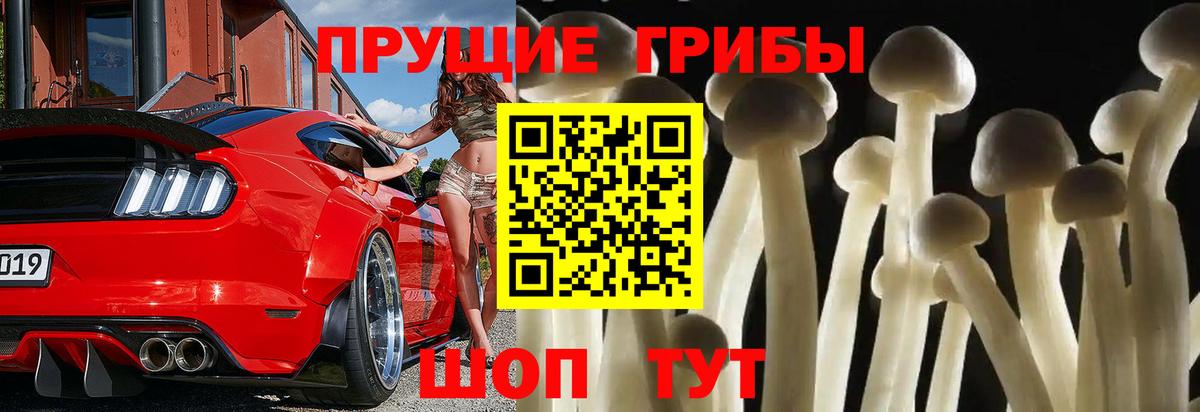 Таганрог  Галлюциногенные грибы GOLDEN TEACHER  Вход с VPN 